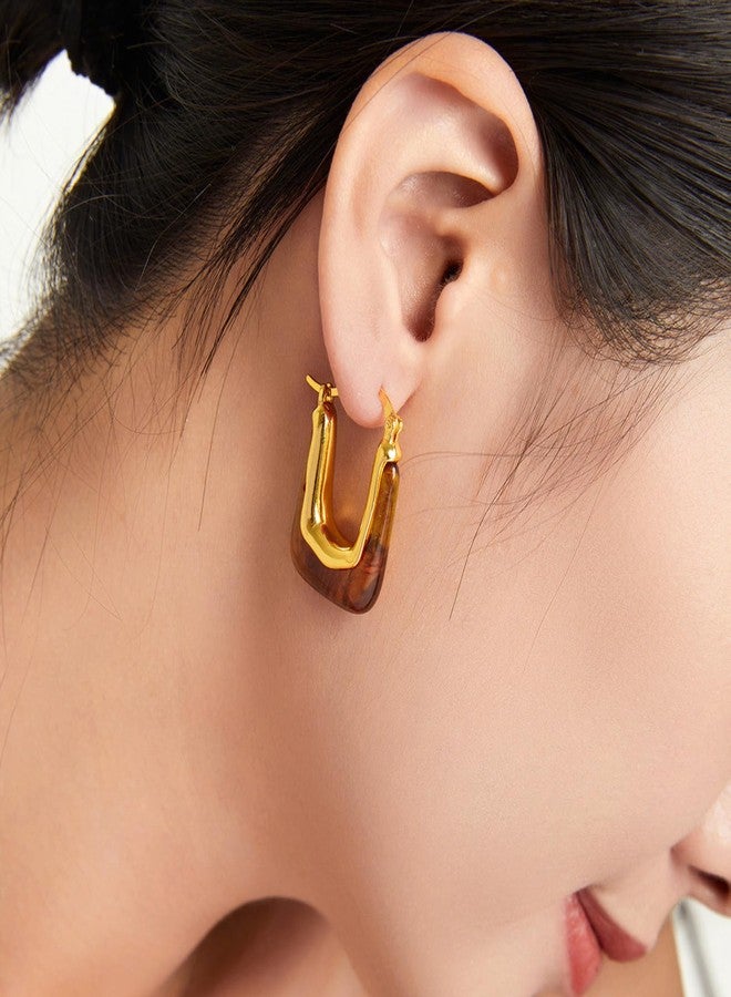 Novearring Brown Earrings for Women Acrylic Hoop Earings Brown and Gold Earring Tortoise Shell Jewelry Amber Bronze Hoop Earing Fall Accessories for Womens Fashion 2025 Trends - Image 3